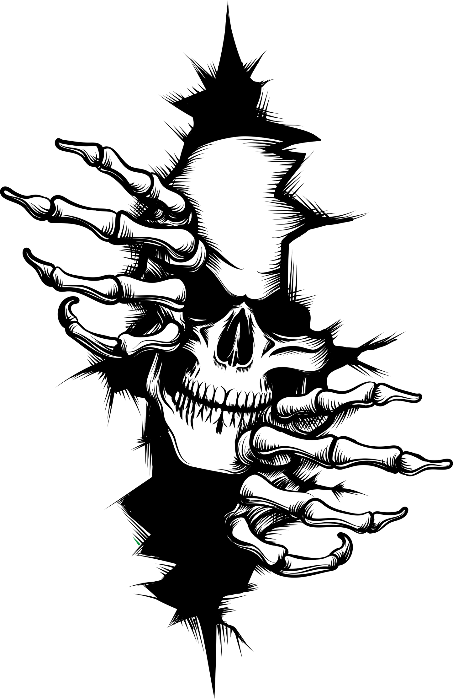 Skull